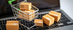 Saját Webshop